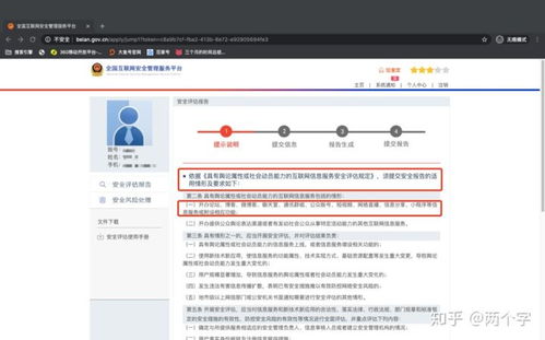 互聯(lián)網信息服務與信息技術服務全攻略